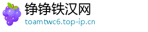 铮铮铁汉网手机访问